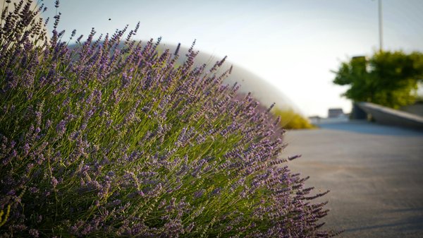 Comparatif des aspirateurs de chantier : trouvez votre allié idéal !